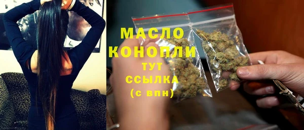 spice Бородино