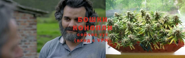 spice Бородино