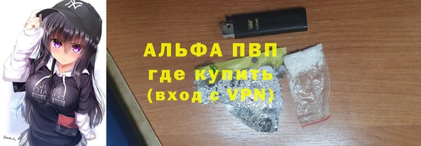 spice Бородино