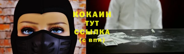 spice Бородино