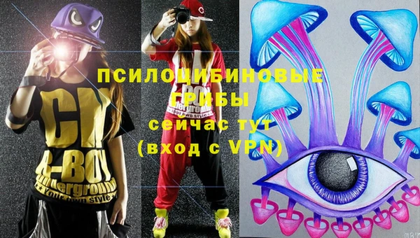 spice Бородино