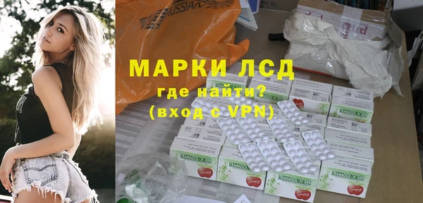 spice Бородино
