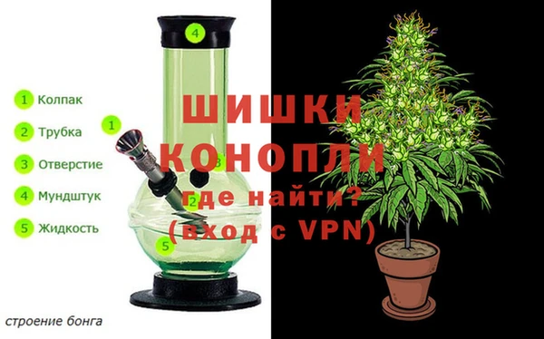 spice Бородино