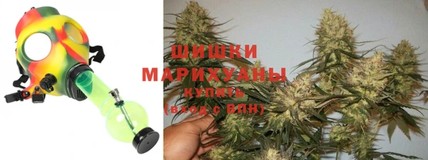 spice Бородино