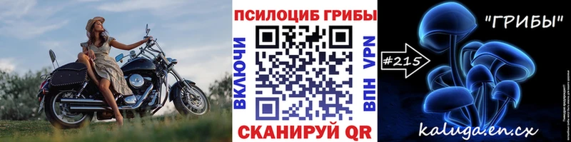 Купить закладки  Малоярославец  Галлюциногенные грибы Magic Shrooms 